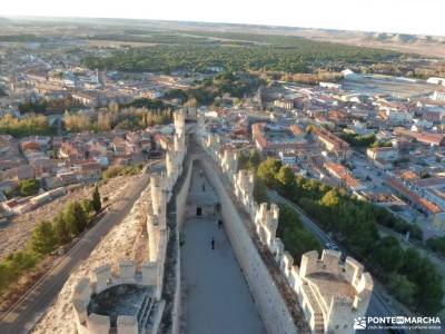 Ribera del Duero,visita enológica-Peñafiel; el tejo taxus bacata mochila espalda